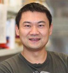 Ting Wang