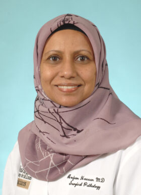Anjum  Hassan