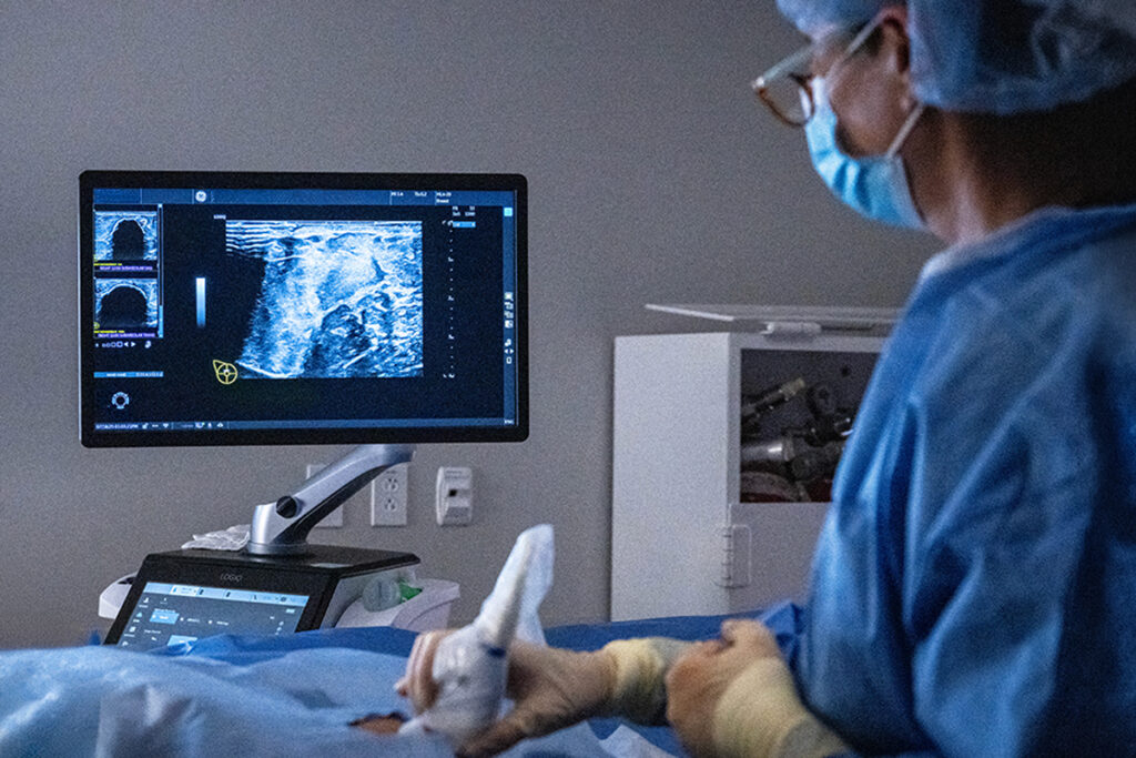 A healthcare professional in surgical scrubs, mask, and cap holds an ultrasound transducer while viewing a scan displayed on a monitor screen.